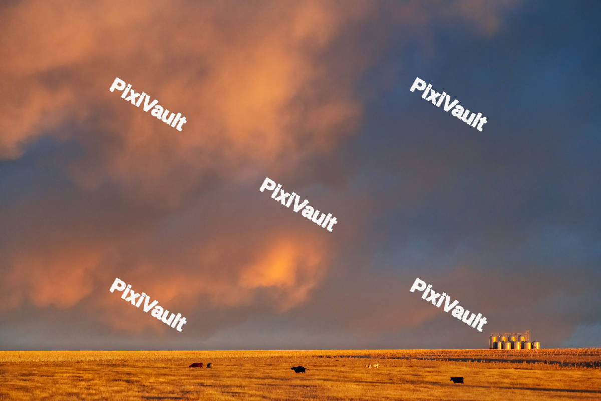 An Orange sunset from a farm view